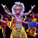 Photo Coverage: Sneak Peek at Disney's THE LION KING First International Tour