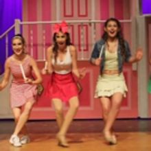 BWW Review: LEGALLY BLONDE THE MUSICAL is an Outstanding Production at New Tampa Play