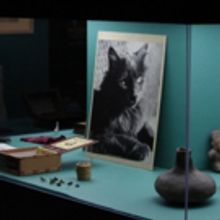 INBA. El Museo De Arte Moderno Albergará La Exposición Adictos A Remedios Varo. Nue