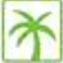 The Biltmore Ball To Benefit The Coral Gables Community Foundation Was A Venetian Fan