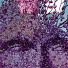 The Ensemble Theatre Brings Awareness To Alzheimer's In Dramatic Comedy EIGHTH DAY…