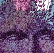 The Ensemble Theatre Brings Awareness To Alzheimer's In Dramatic Comedy EIGHTH DAY OF