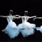 Photo Flash: Get A First Look At American Ballet Theatre's GISELLE