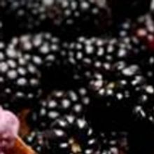 SHN & Humphry Slocombe Collaborate on THE COLOR PURPLE-Inspired Ice Cream Flavor