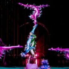 BWW Review: CIRQUE DU SOLEIL's VAREKAI in Texas