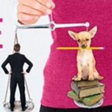 UCI Drama Celebrates Women In Law With The Award-Winning Musical LEGALLY BLONDE