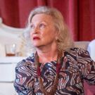 BWW Interview: Sandra Dickinson Talks THE UNBUILT CITY