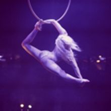 Audiences Have Three Weeks Left to Catch LA SOIREE at the Aldwych Theatre