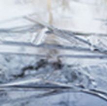 BPA Gallery Announces June 7 First Friday Art Walk: 'Visions In Nature'