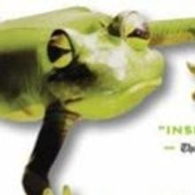 FROGZ! Brings Entertainment For All Ages Like No Other