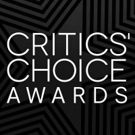 SHAPE OF WATER, BIG LITTLE LIES Top Critics' Choice Award Winners; Full List