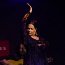 Ballet Hispanico Presents its Flamenco Tablao Series Featuring Nelida Tirado