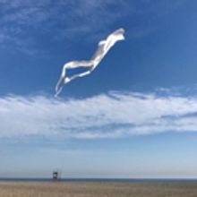 Gratitude And Joy Exhibit Comes to Bailey Contemporary Arts