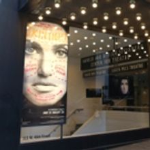 Up on the Marquee: SKINTIGHT with Idina Menzel