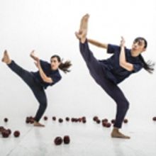 BWW Dance Interview: Stefanie Nelson - Artistic Director