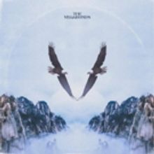 The Vegabonds By The Numbers, New Album, 'V,' Out 1/18 via Blue Elan Records