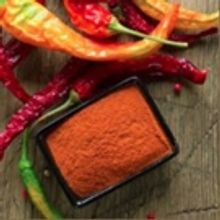 Marinas Menu: Get to know THE SPICE LAB