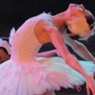 Atlantic City Ballet Brings SWAN LAKE To Napa Valley!