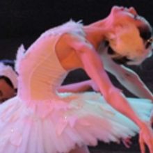 Atlantic City Ballet Brings SWAN LAKE To Napa Valley!