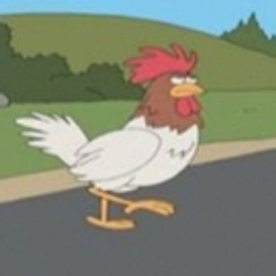 PLAY NICE to Launch 2017 Season with WHY DID THE CHICKEN CROSS THE ROAD?