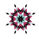 NEW CONSTELLATIONS Brings Together Indigenous And Non-Indigenous Artists