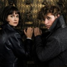 Photo Flash: New Images from FANTASTIC BEASTS: THE CRIMES OF GRINDELWALD