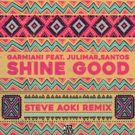 Steve Aoki Throws Down Electrifying Remix of Garmiani's 'Shine Good'