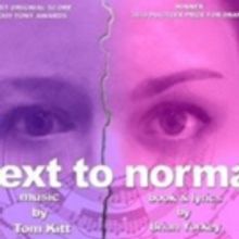BWW Review: NEXT TO NORMAL at Bootless Stageworks