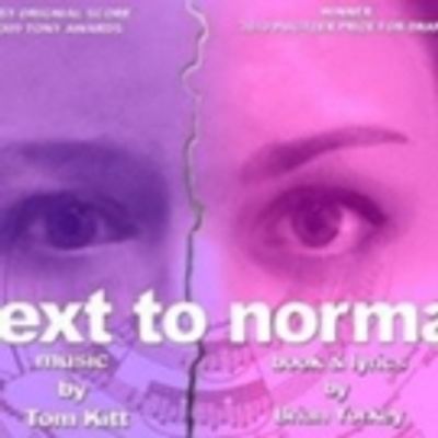 BWW Review: NEXT TO NORMAL at Bootless Stageworks