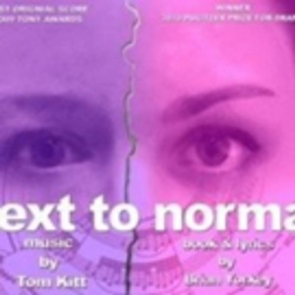 BWW Review: NEXT TO NORMAL at Bootless Stageworks Photo
