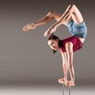 National Institute of Circus Arts Presents PLEASE HOLD