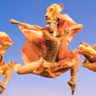 Photo Flash: Be Prepared for THE LION KING National Tour with New Photos
