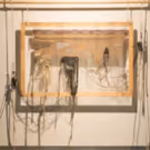 Black Mountain College Museum + Arts Center Announces Summer Exhibitions