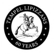 Clasica Lipizzana Makes U.S. Performance Debut To Celebrate The Tempel Lipizzans' 60t