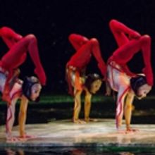Bid Now on 4 VIP to La Grande Expérience at O by Cirque du Soleil Including Pre-Show