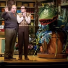 Review Roundup: What Did Critics Think of LITTLE SHOP OF HORRORS at Stratford…