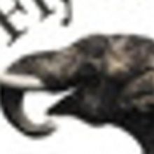 Flying Elephant Productions' Presents DEFACING MICHAEL JACKSON