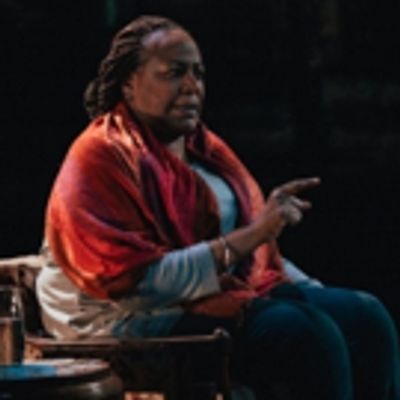 BWW Review: A Community Processes the Shooting of Michael Brown in Dael Orlandersmith's UNTIL THE FLOOD, at Portland Center Stage