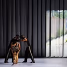 BWW Dance Interview: Kyle Abraham Talks Live! The Realest M.C and More!