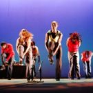 Experience STEP AFRIKA! at Raue Center for the Arts