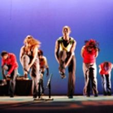 Experience STEP AFRIKA! at Raue Center for the Arts