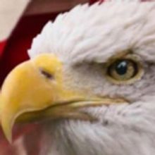 BWW Review: PATRIOTIC POPS at Barbara B. Mann Performing Arts Hall