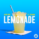 Introducing New York Bedroom Bass Artist Sean Turk, New Single/Music Video LEMONADE…
