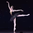 Photo Flash: American Ballet Theatre Hosts 2017 Holiday Benefit in Beverly Hills