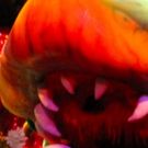 BWW Review: LITTLE SHOP OF HORRORS at Broadway Palm