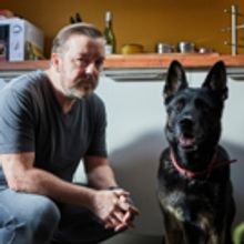 Photo Flash: First Look at the Netflix Original Series AFTER LIFE Starring Ricky…