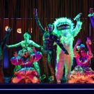 TV: Ready for Your Upgrade? Watch Highlights from BE MORE CHILL on Broadway!