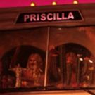 BWW Review: PRISCILLA - LA REGINA DEL DESERTO at Teatro Verdi - Firenze
