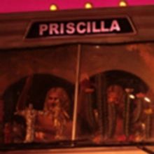 BWW Review: PRISCILLA - LA REGINA DEL DESERTO at Teatro Verdi - Firenze