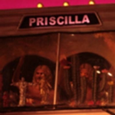 BWW Review: PRISCILLA - LA REGINA DEL DESERTO at Teatro Verdi - Firenze